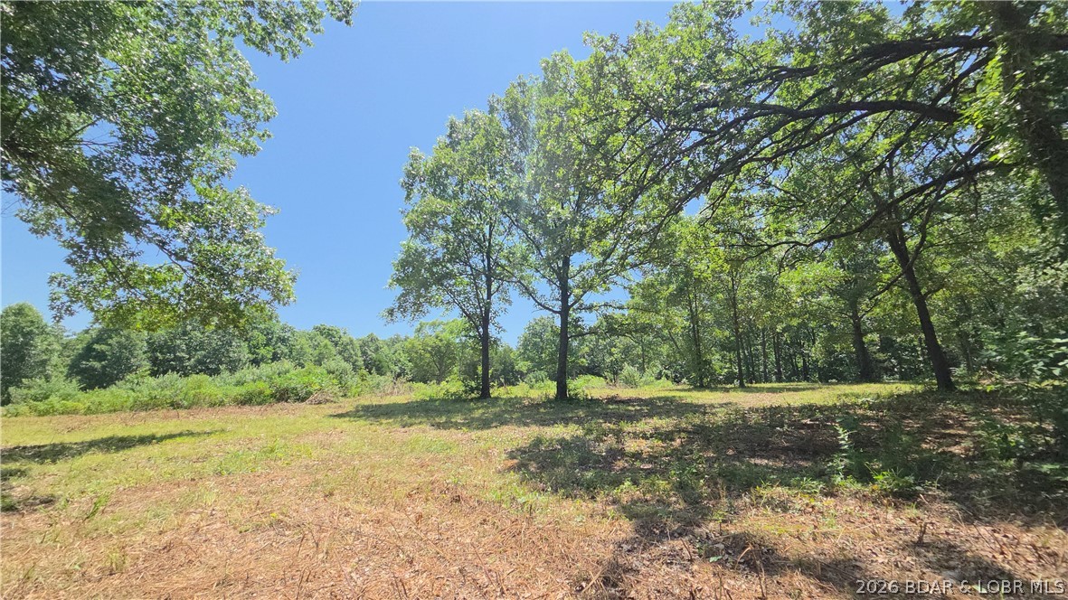 Tract 1 M And M Ranch Lane Property Photo 16