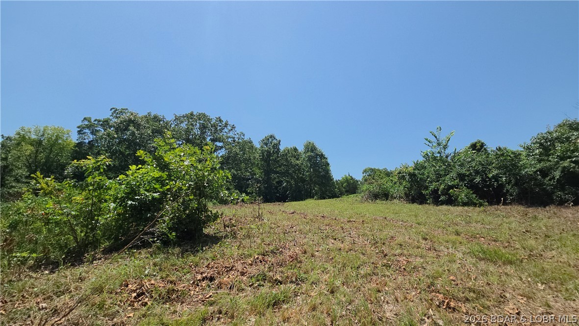 Tract 1 M And M Ranch Lane Property Photo 17
