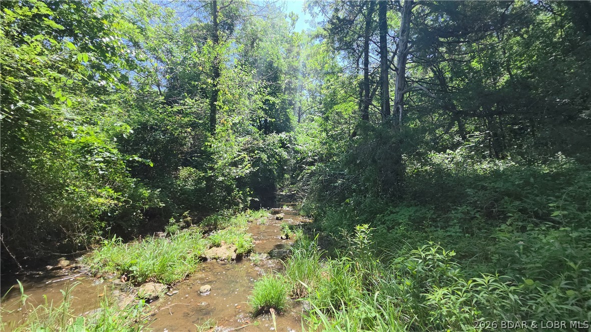 Tract 1 M And M Ranch Lane Property Photo 20
