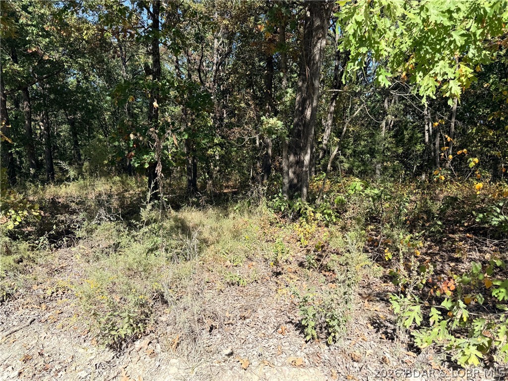Howe Road Property Photo 4