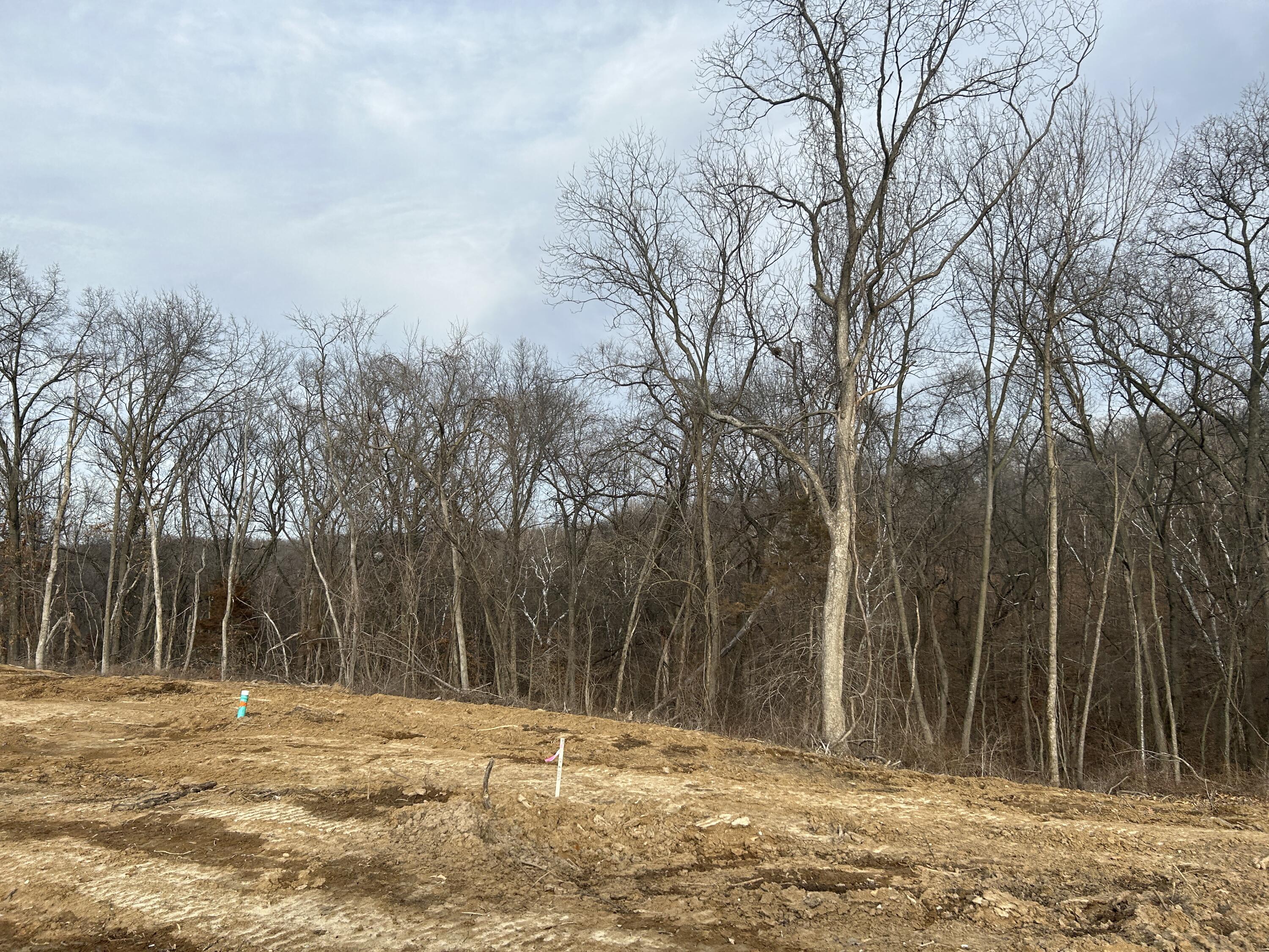 Boone Point Subdivision, 207 Property Photo 9