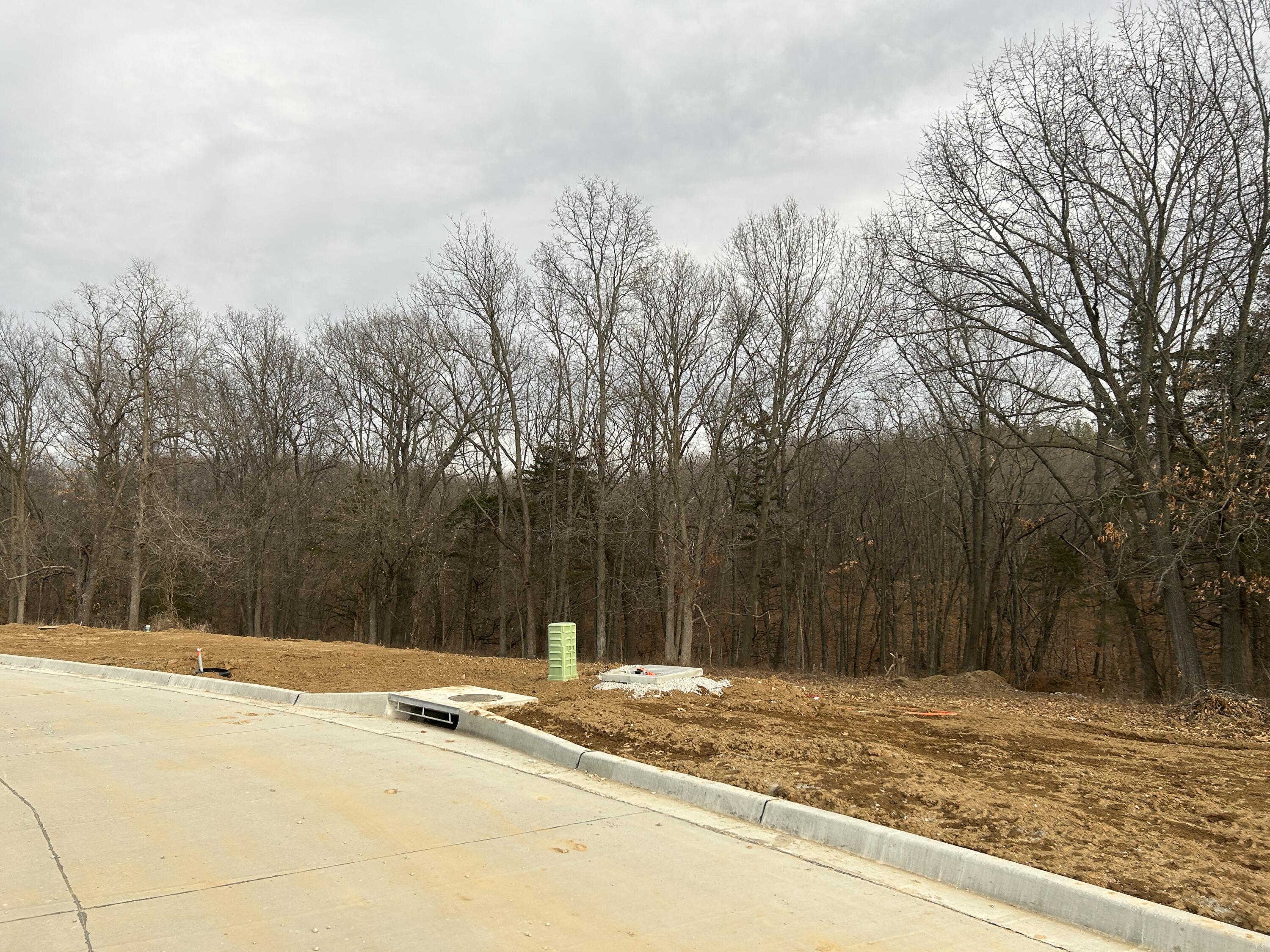 Boone Point Subdivision, 207 Property Photo 11