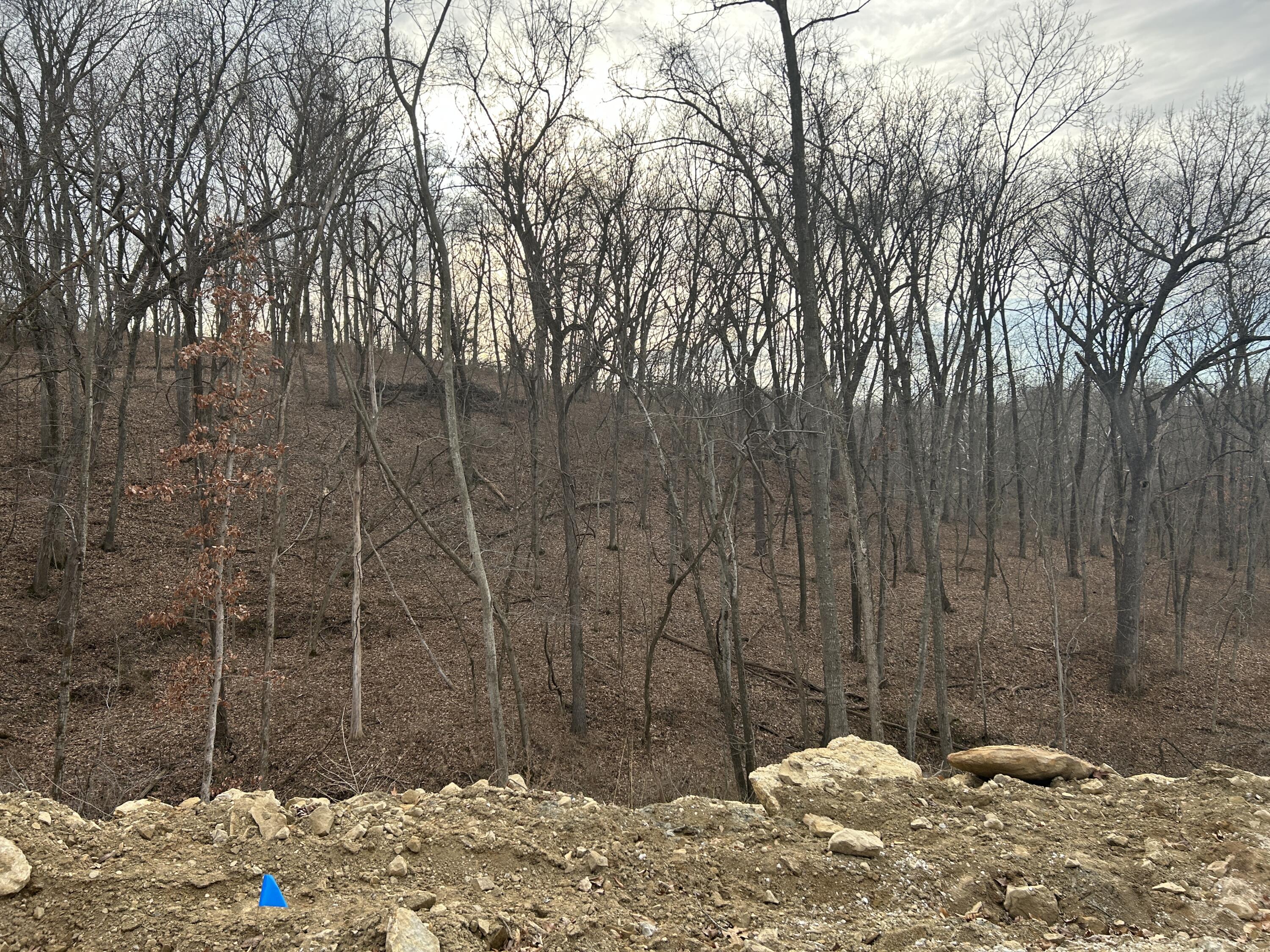 Boone Point Subdivision, 241 Property Photo 10