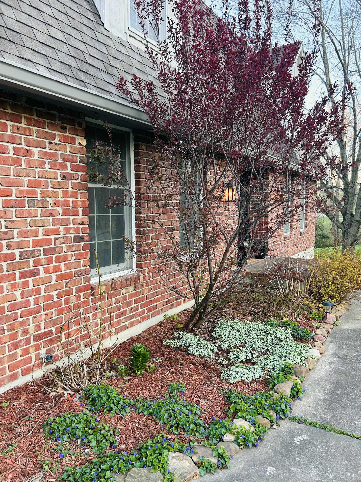 106 Walnut Dr Property Photo 11