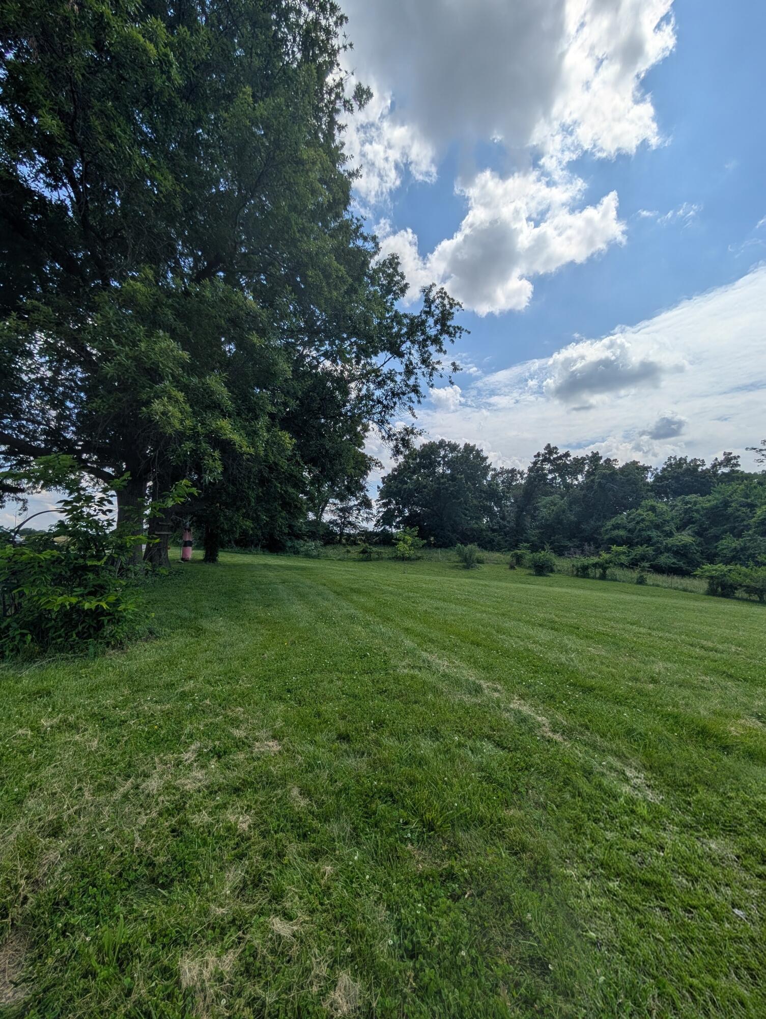 11005 Highway J Property Photo 4