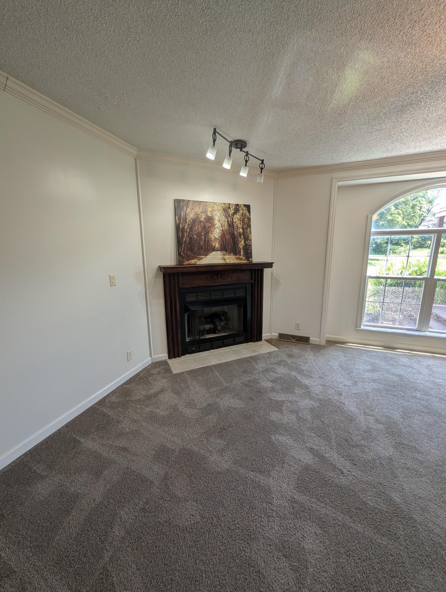 11005 Highway J Property Photo 26