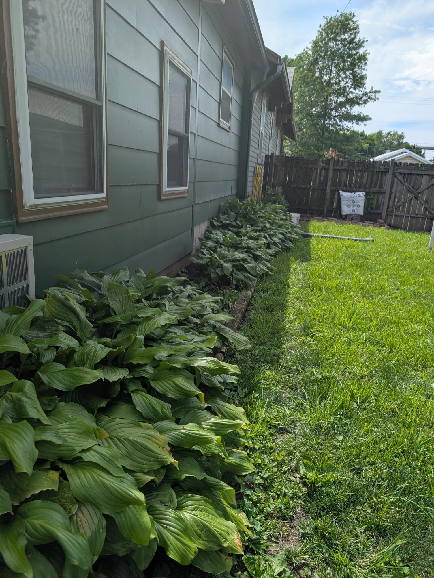 530 Lyon Ave Property Photo 4