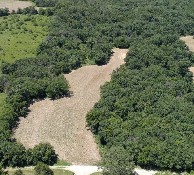 19.51ac County Road 313 Property Photo 1