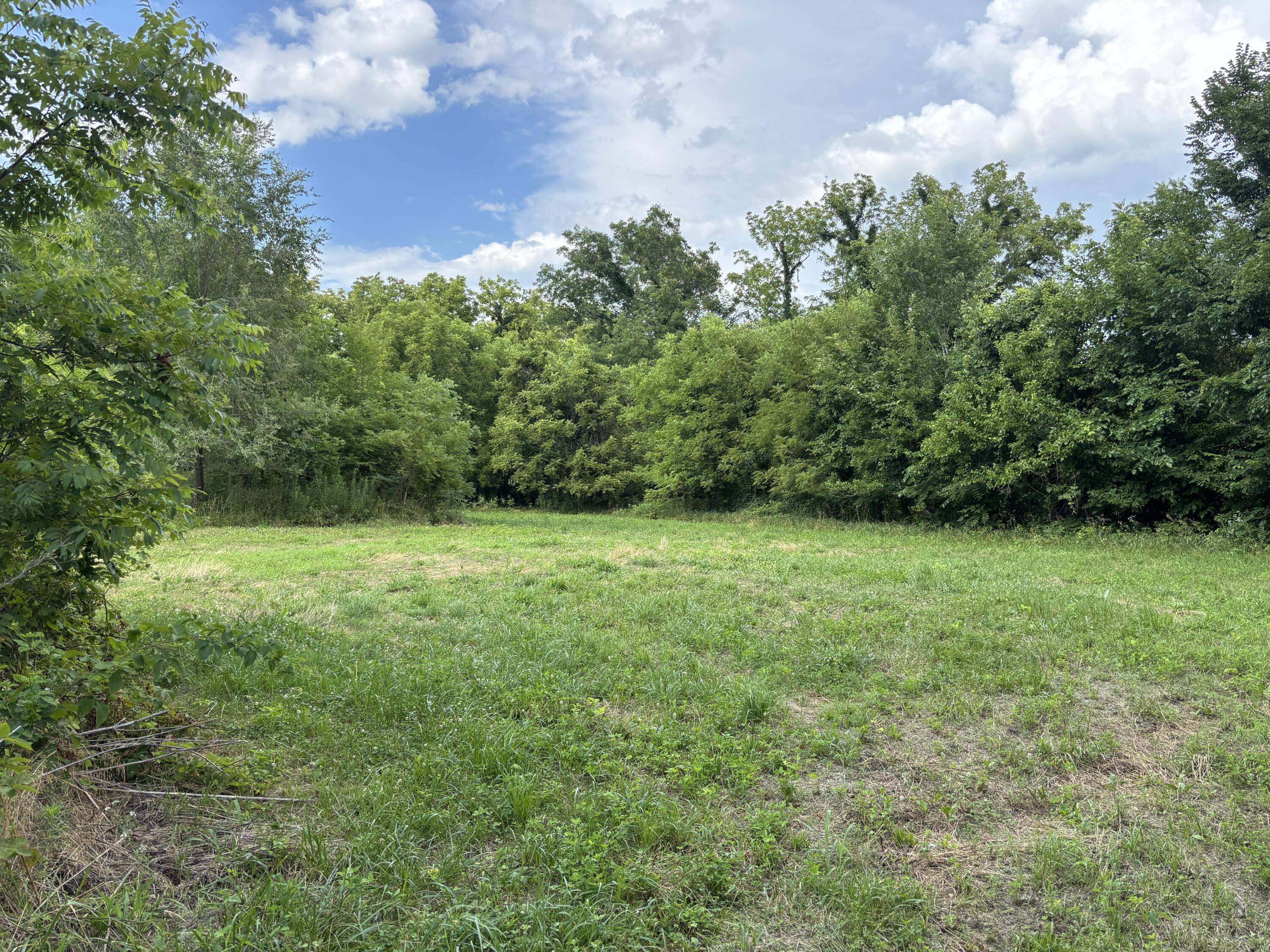 Tract 2 Redbud Avenue Property Photo 1