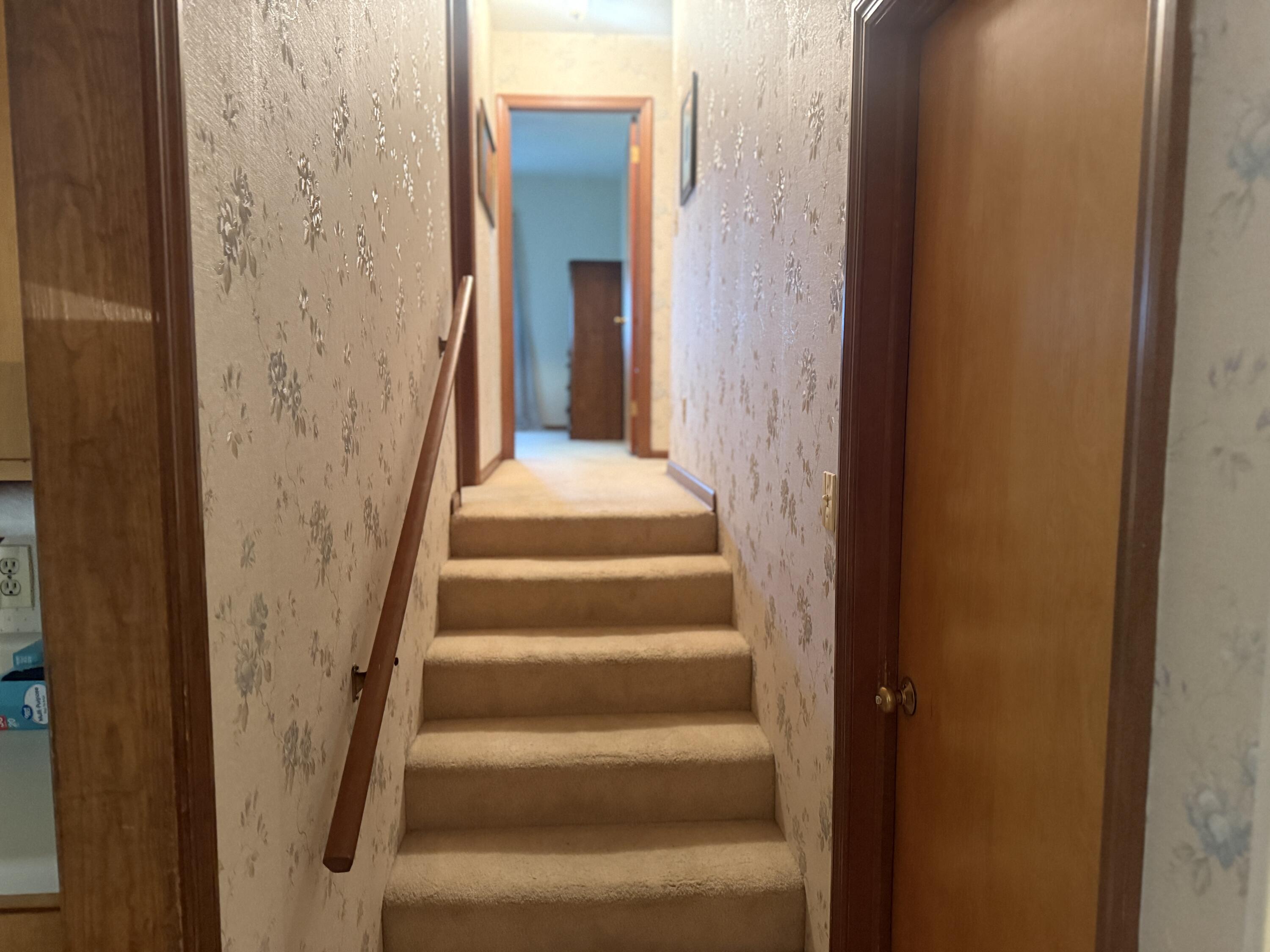 113 Rosehill St Property Photo 17