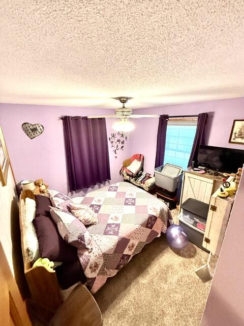 617 Lake Dr Property Photo 32