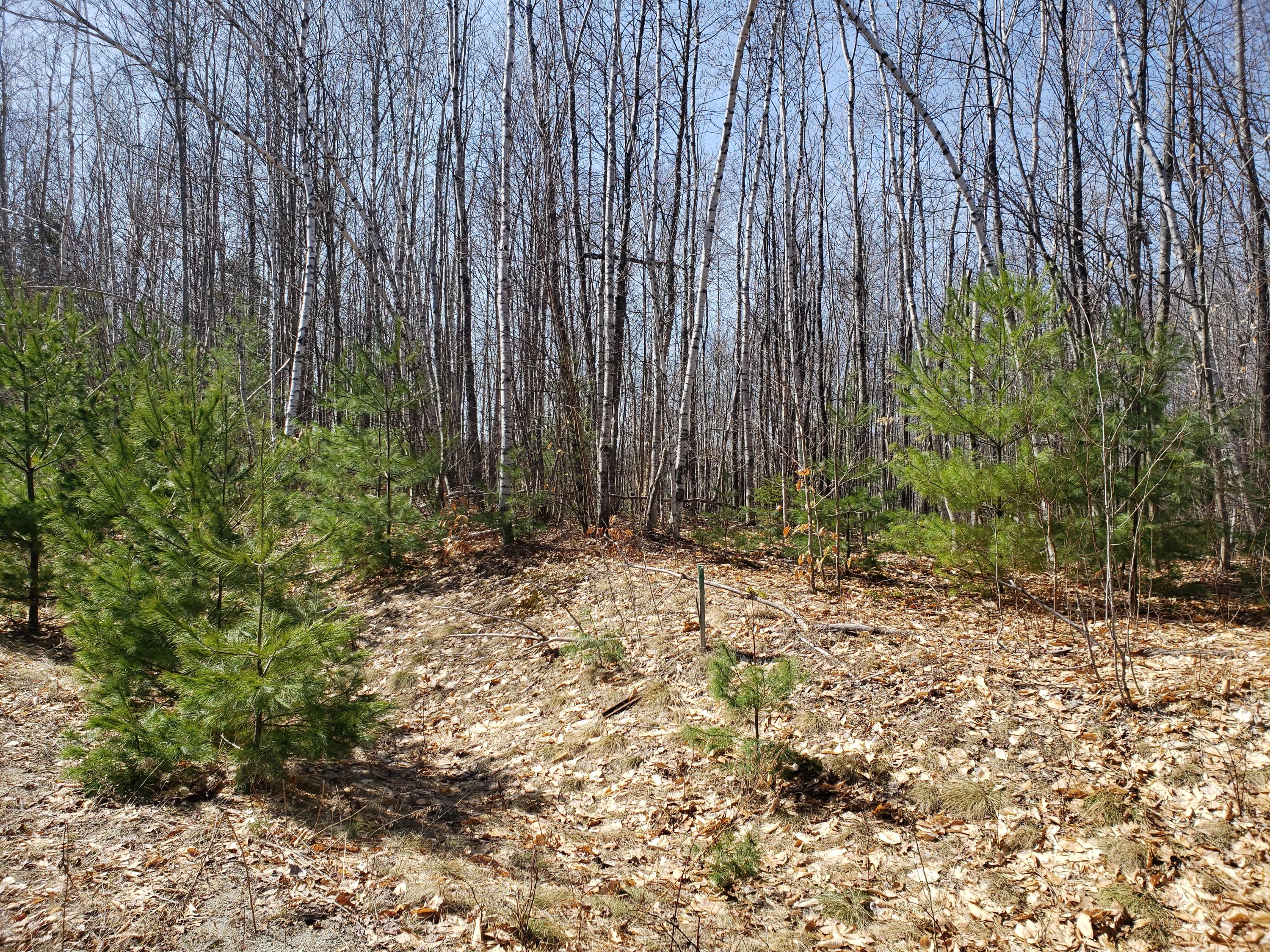 Tbd Deerfield Lane Property Photo 2