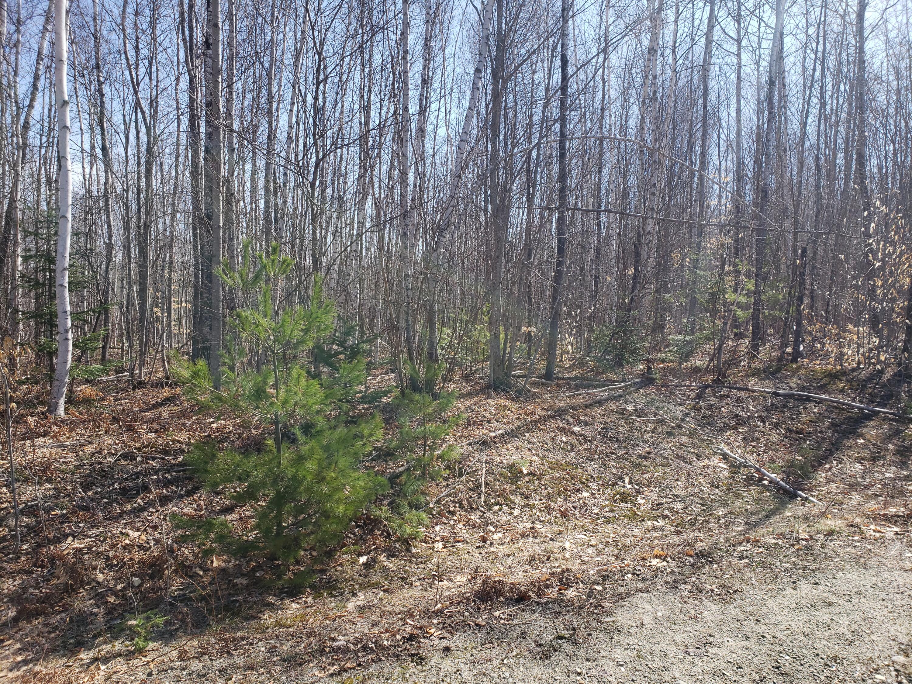 Tbd Deerfield Lane Property Photo 3