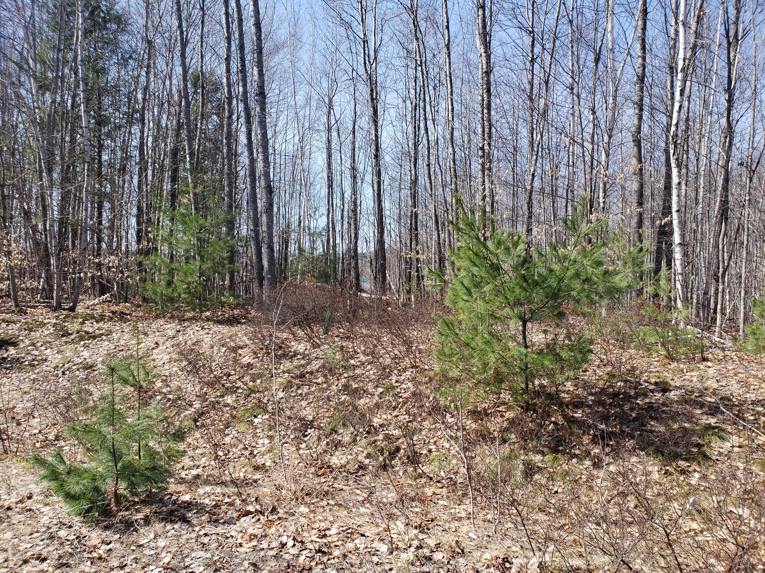 Tbd Deerfield Lane Property Photo 5
