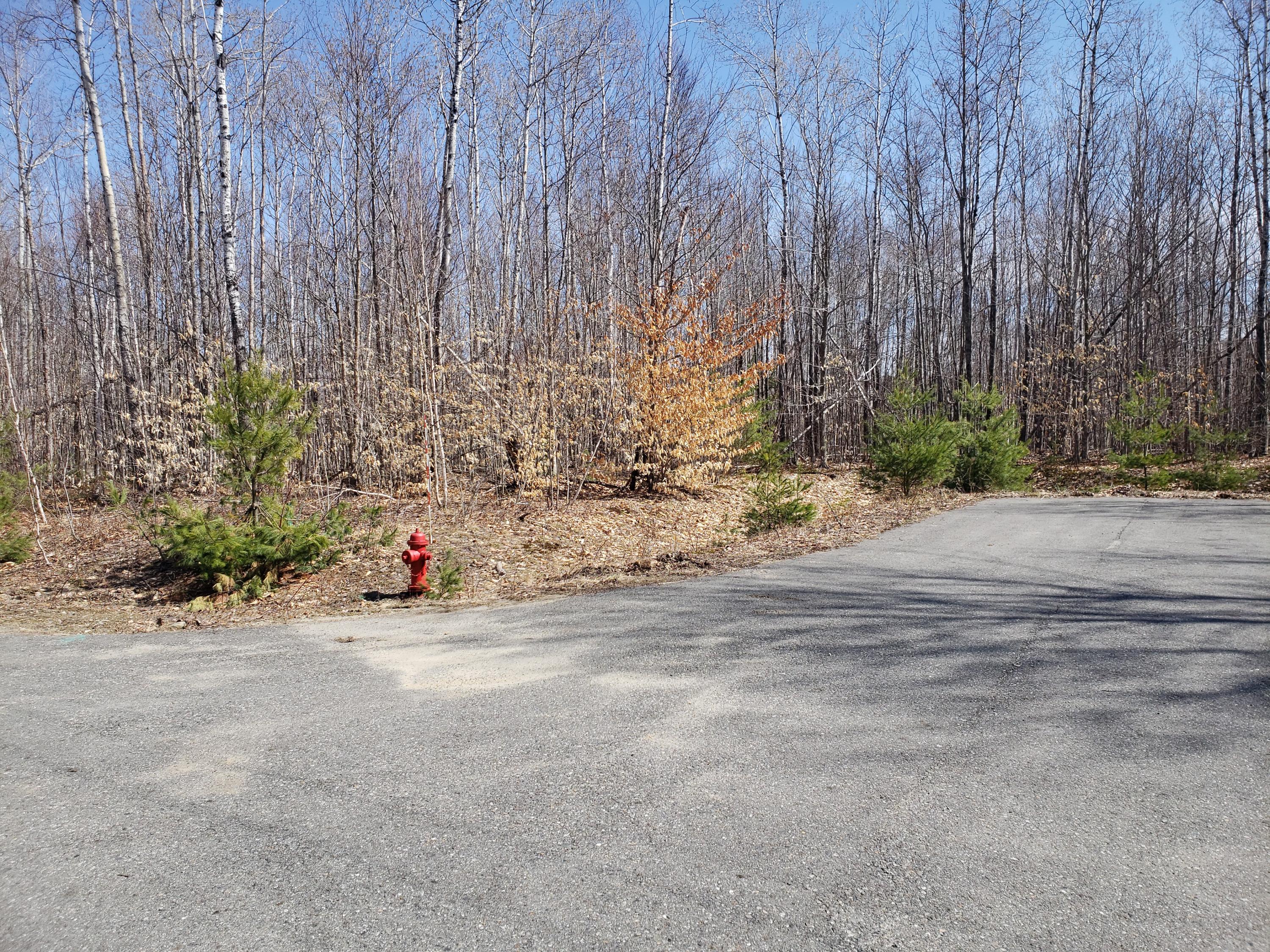 Tbd Deerfield Lane Property Photo 11