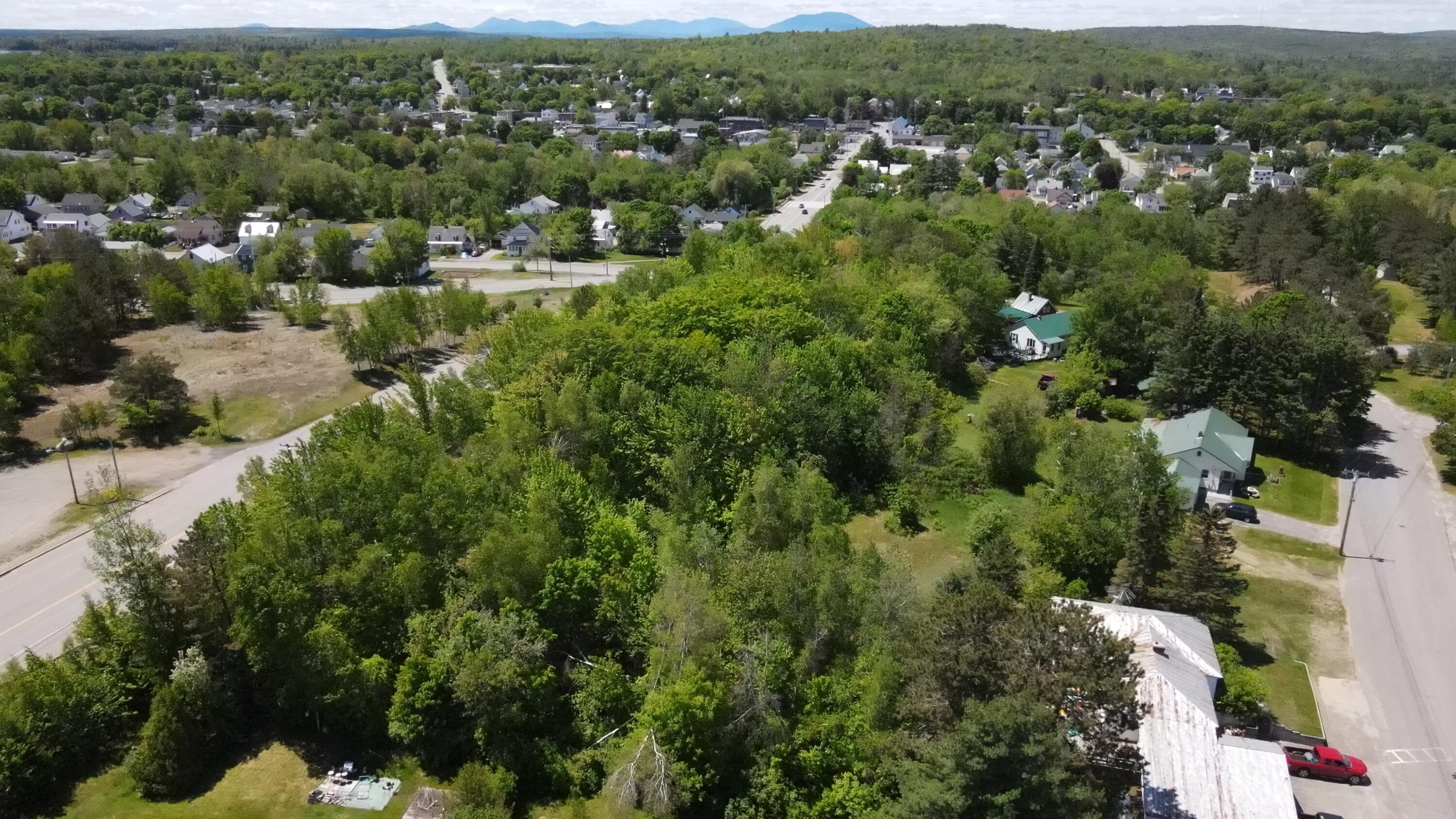 6 & 6a Forest Avenue Property Photo 5
