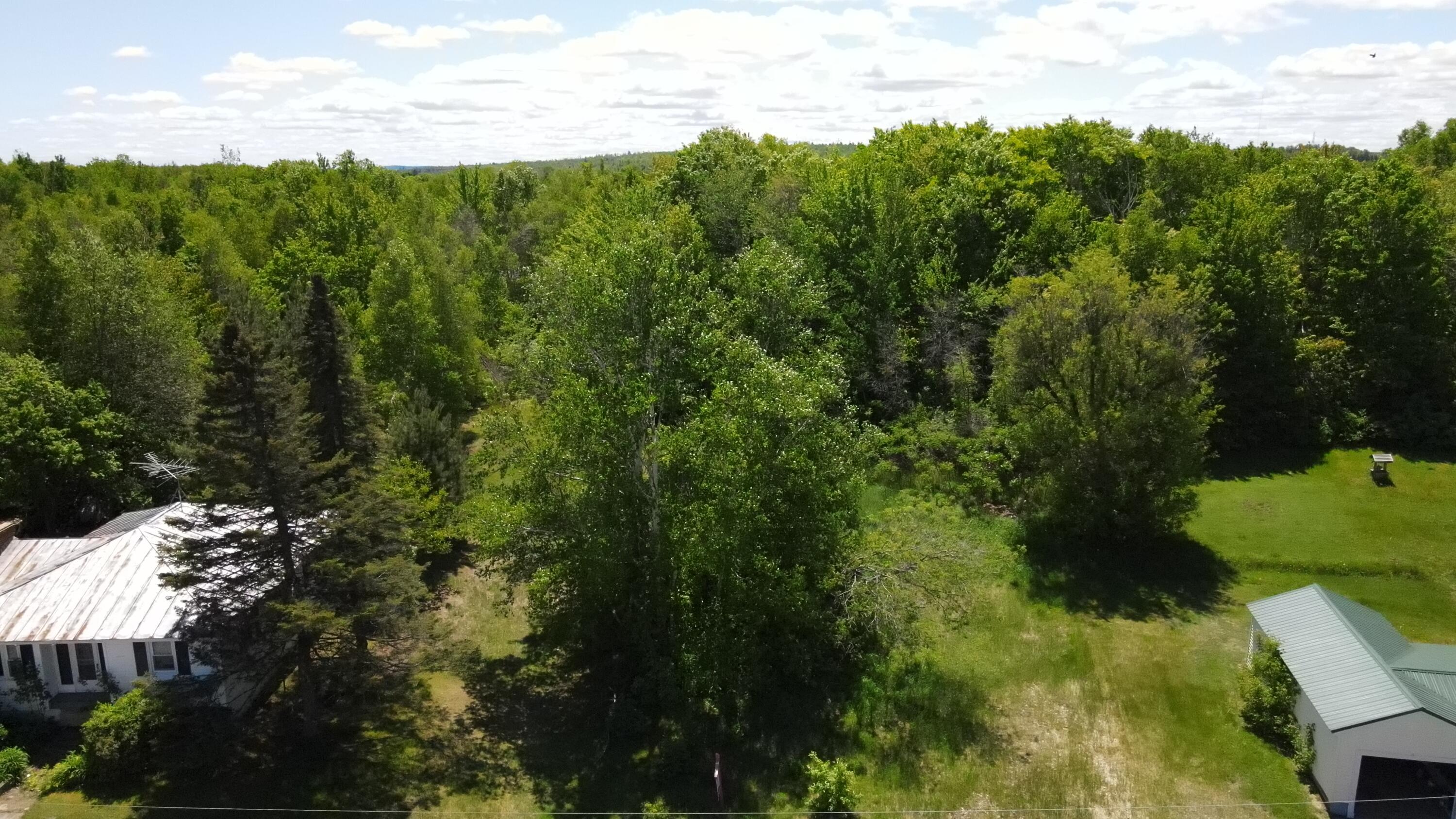 6 & 6a Forest Avenue Property Photo 9