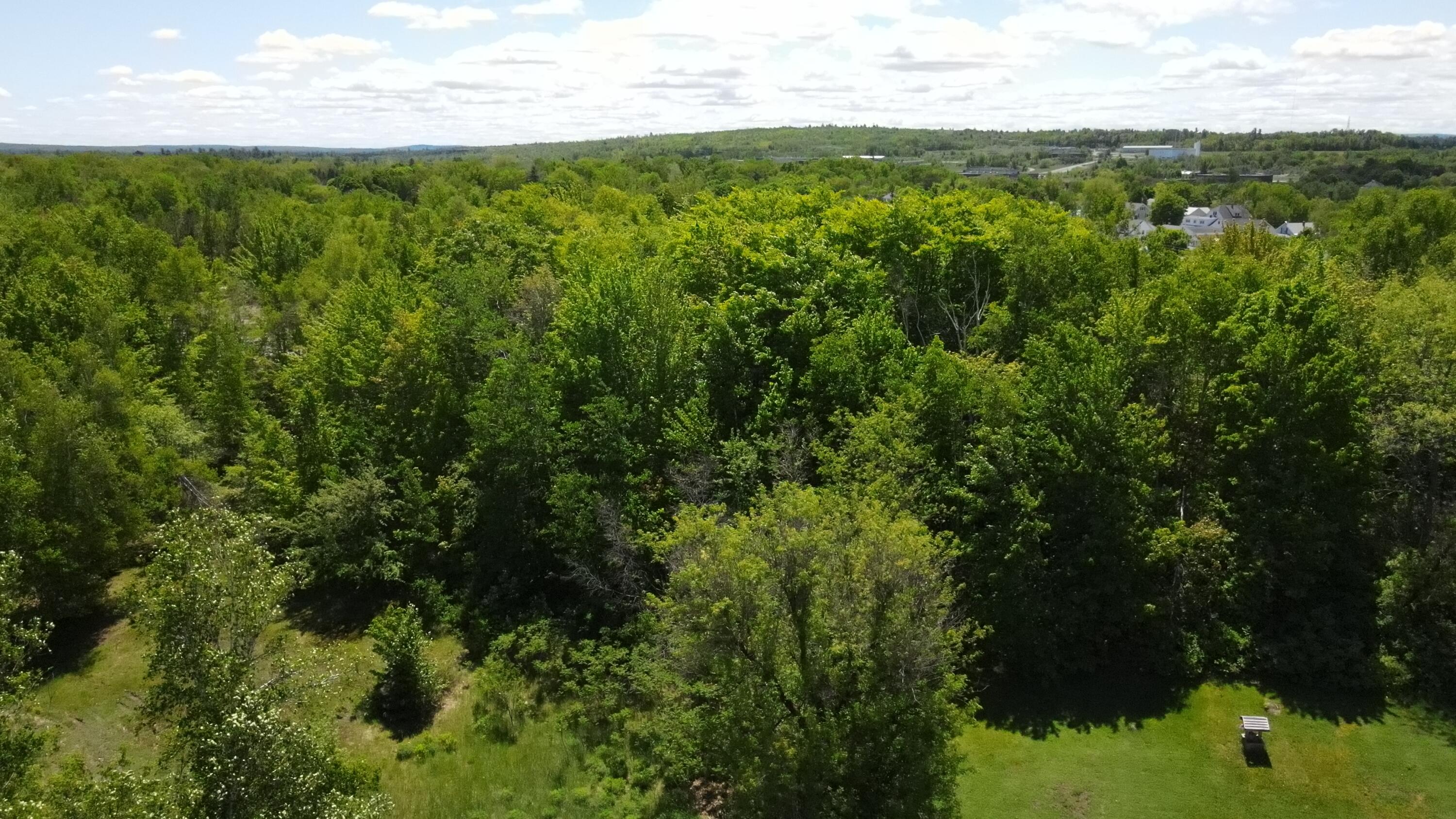 6 & 6a Forest Avenue Property Photo 10