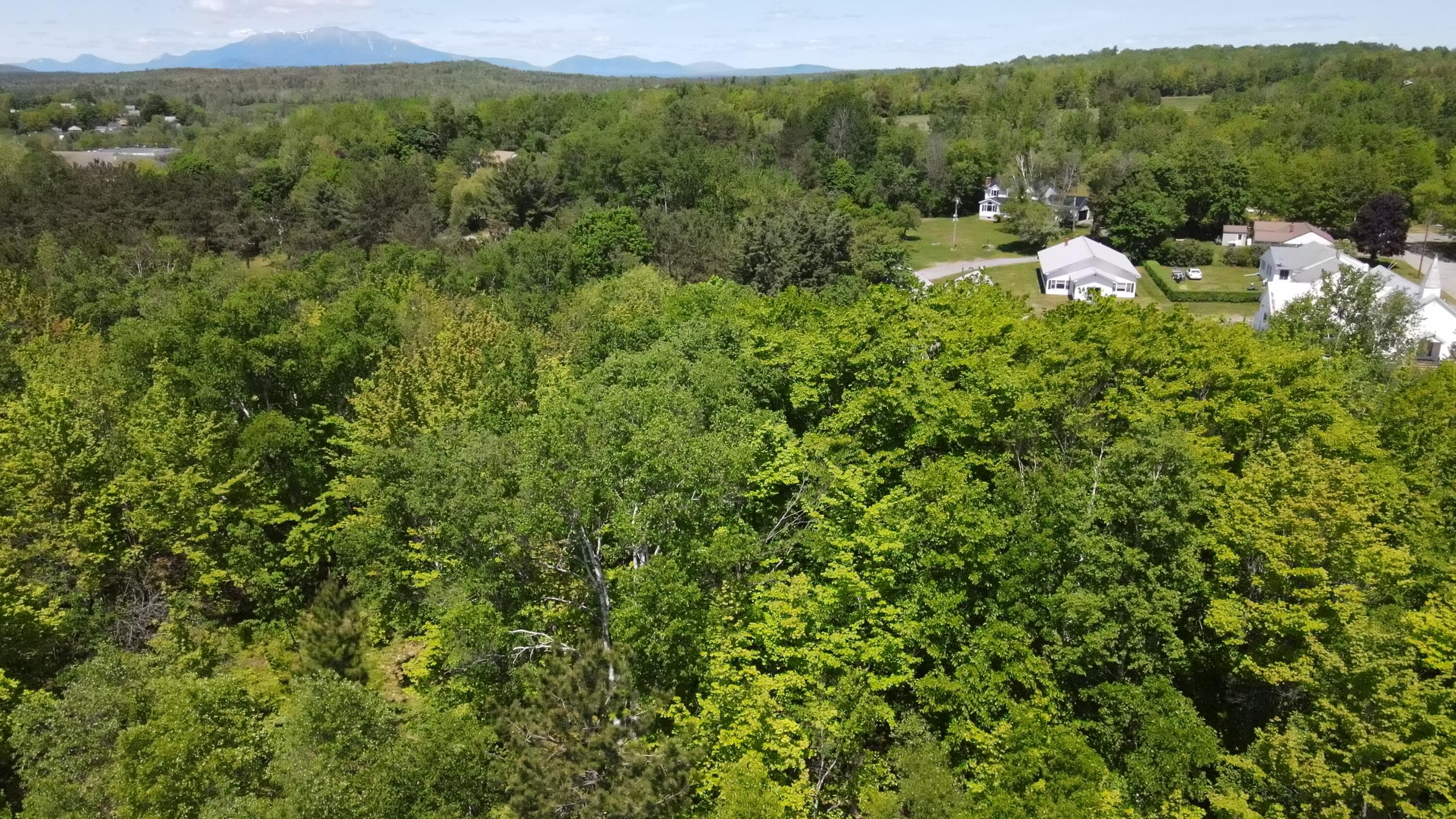 6 & 6a Forest Avenue Property Photo 12