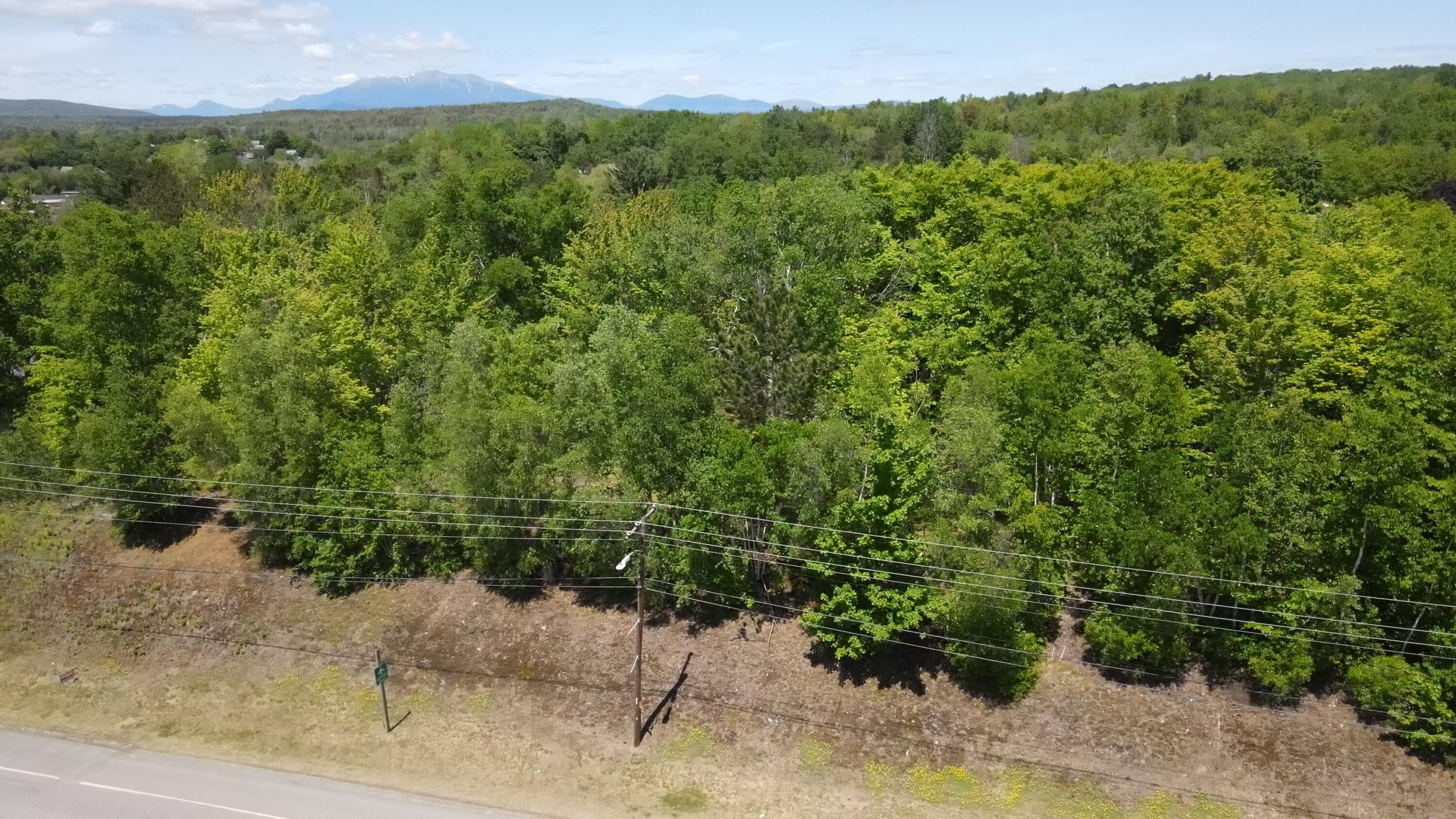 6 & 6a Forest Avenue Property Photo 13