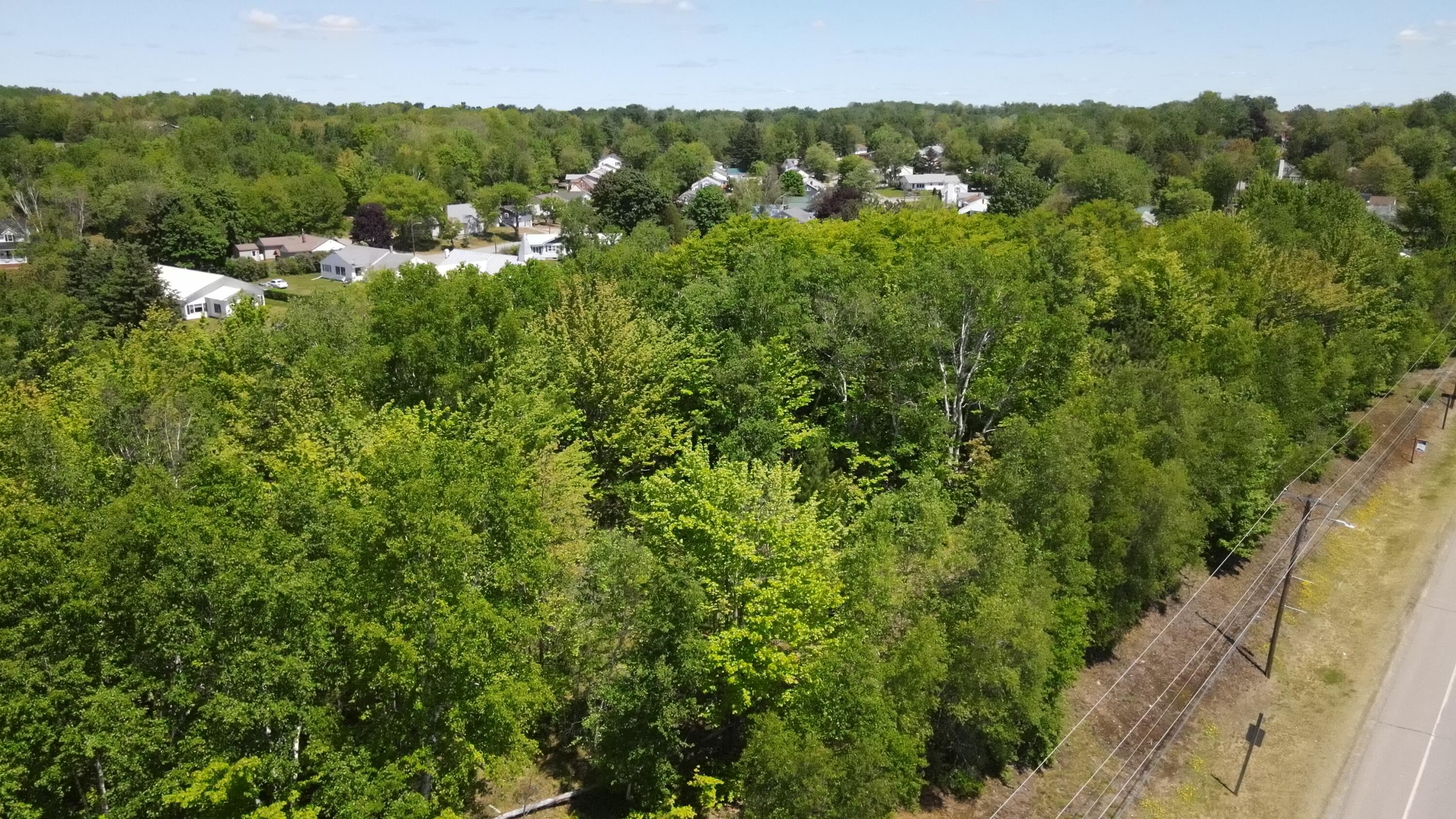 6 & 6a Forest Avenue Property Photo 15