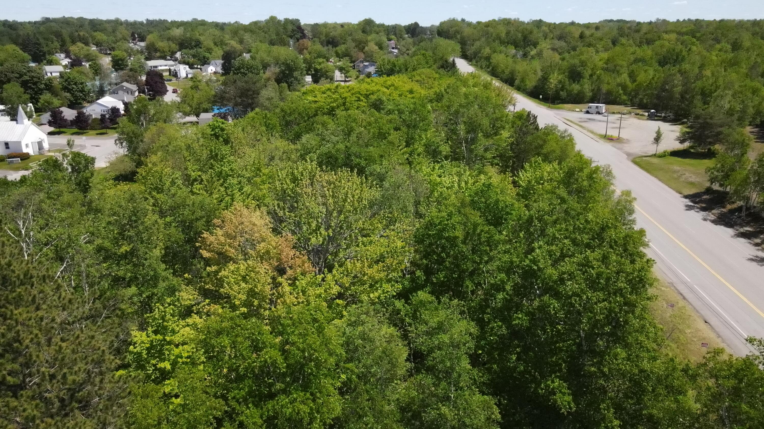 6 & 6a Forest Avenue Property Photo 16