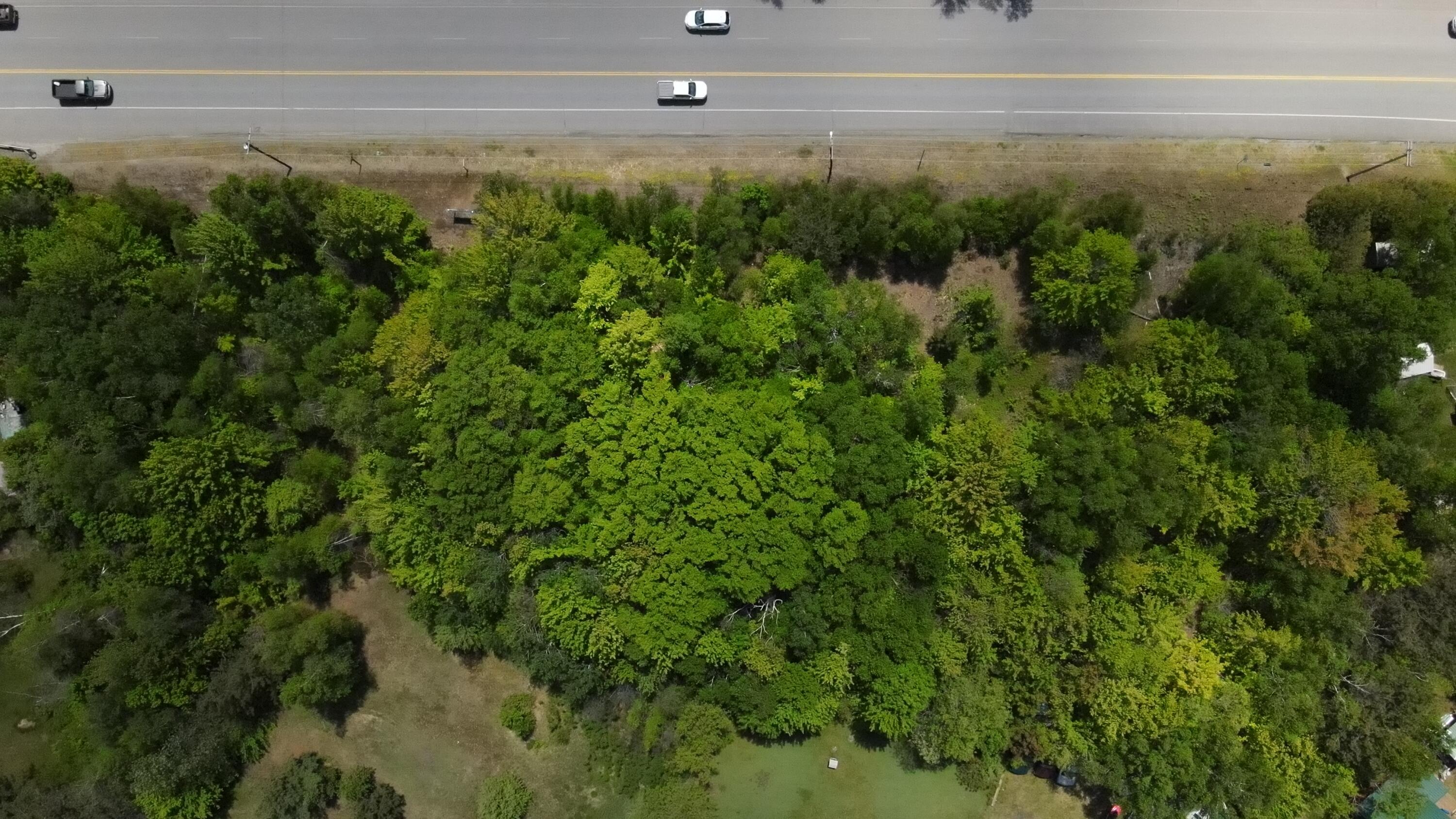 6 & 6a Forest Avenue Property Photo 17