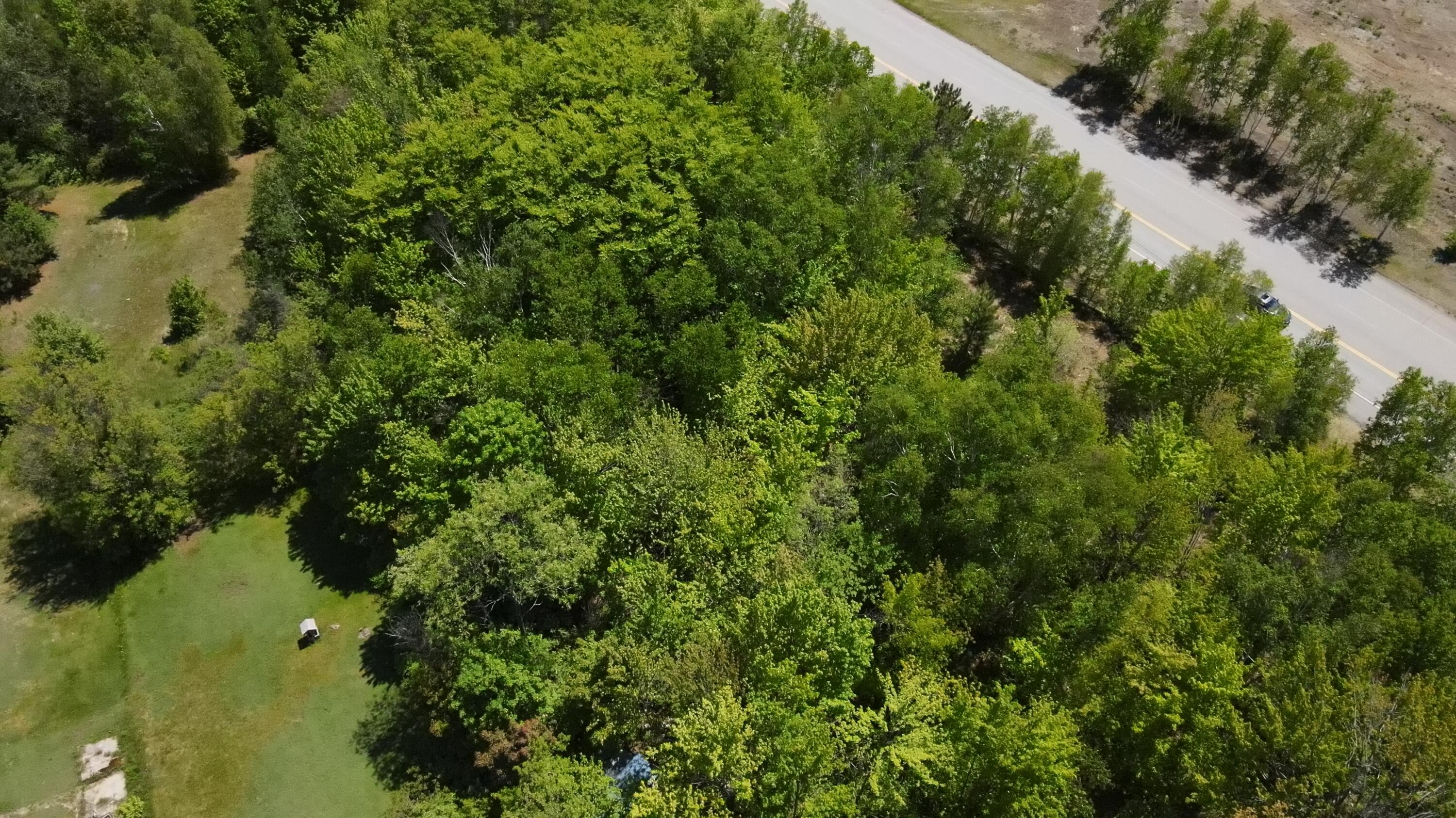 6 & 6a Forest Avenue Property Photo 18