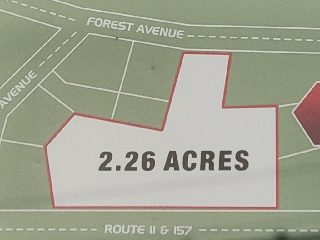 6 & 6a Forest Avenue Property Photo 21