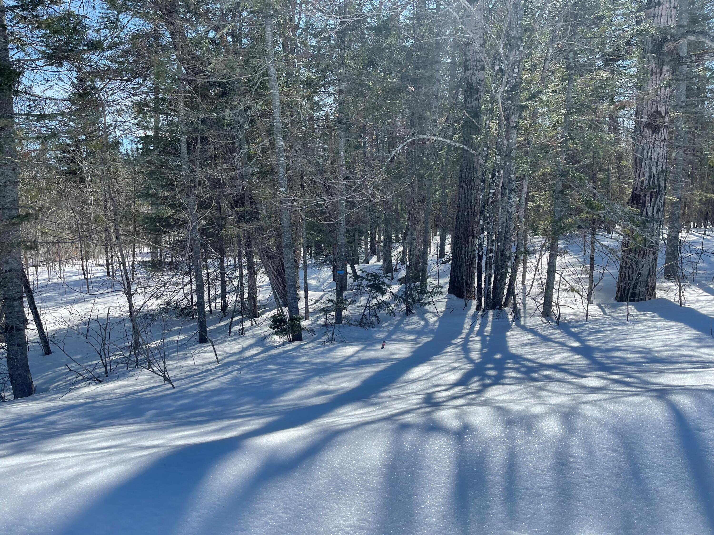 778 New Dunntown Road Property Photo 3