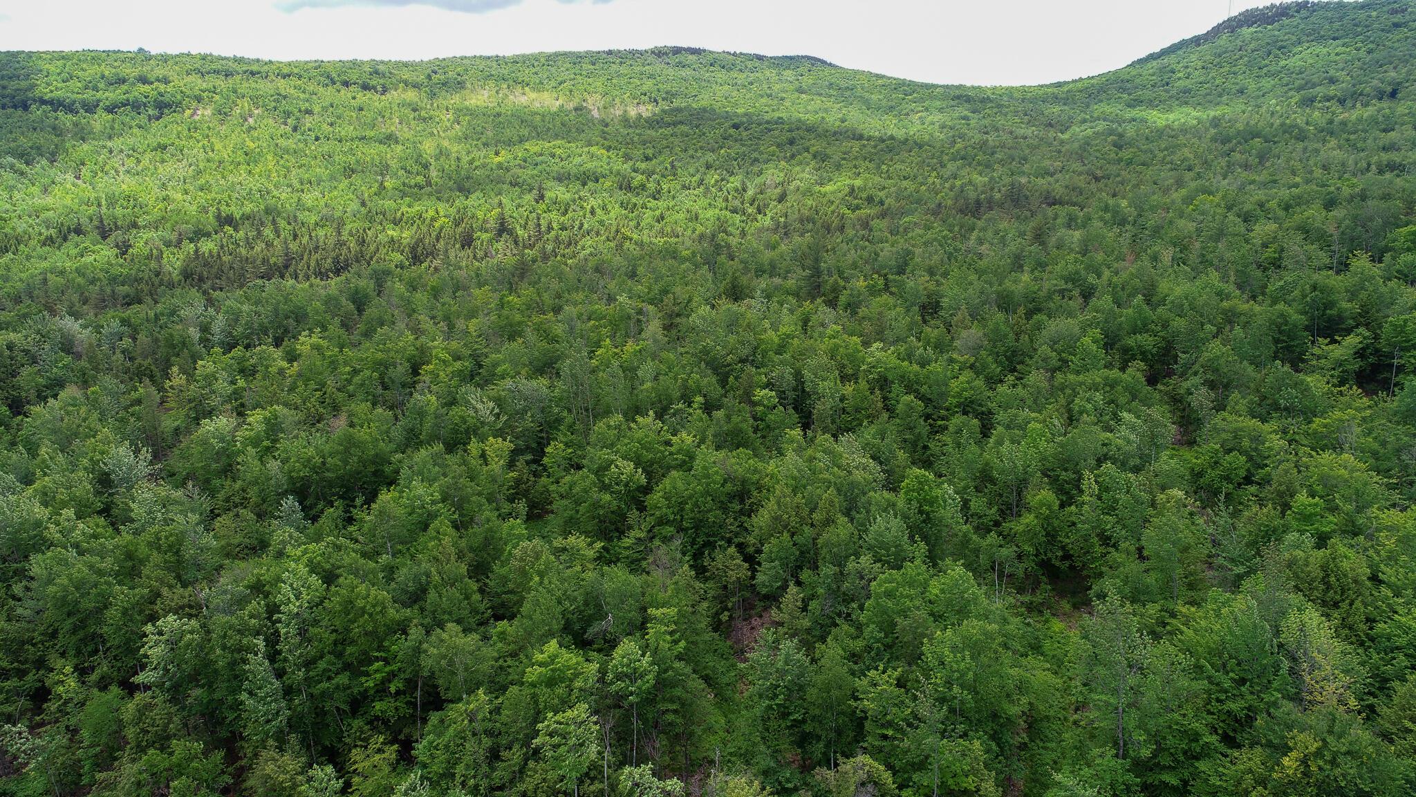 Map 7 Lot 3 Route 120 Property Photo 4
