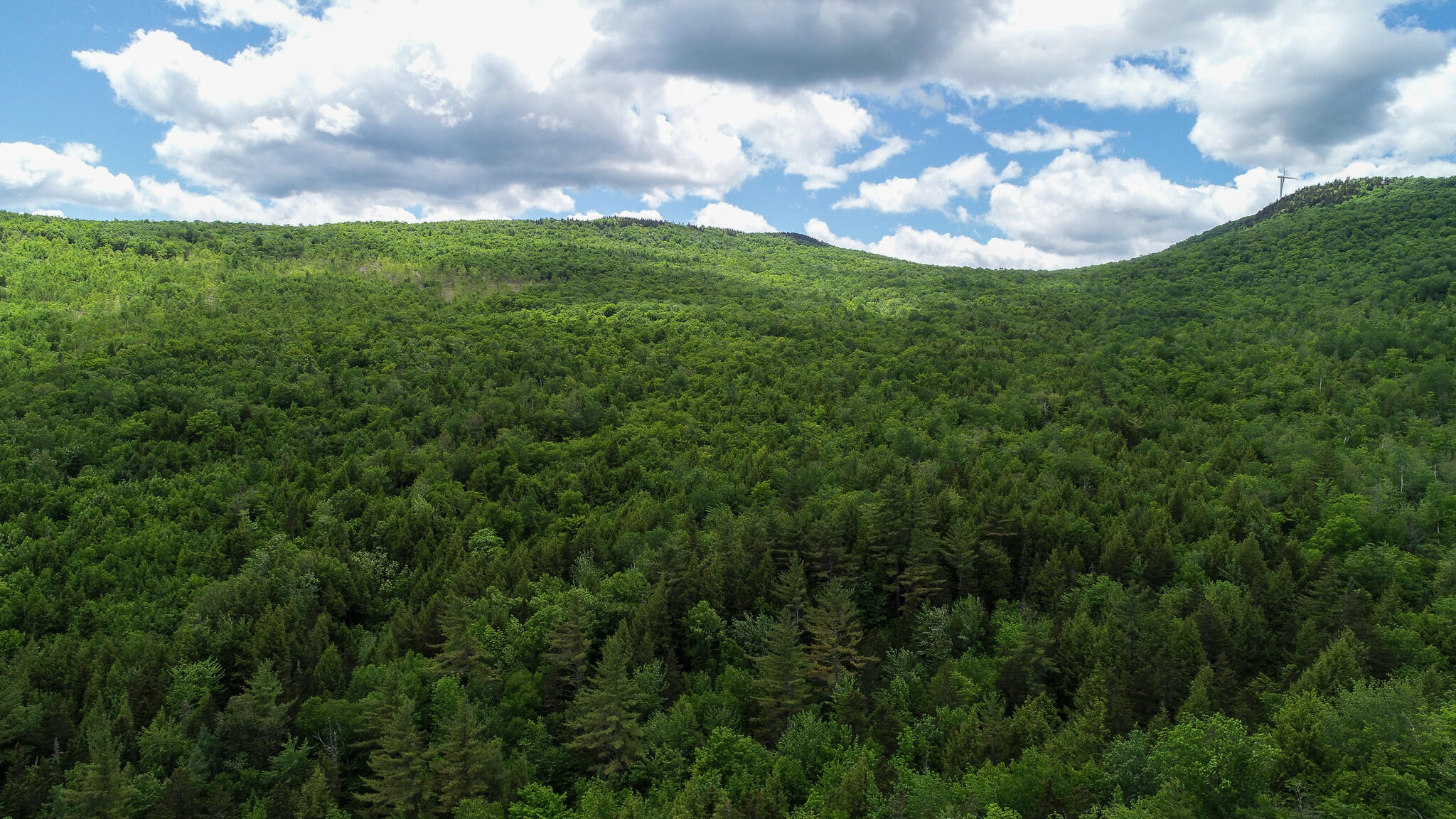 Map 7 Lot 3 Route 120 Property Photo 6
