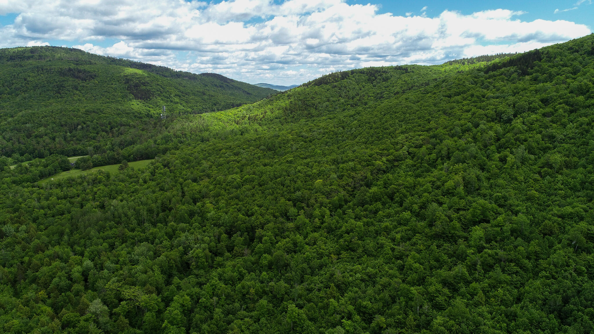 Map 402 Lot 7 Road Property Photo 3