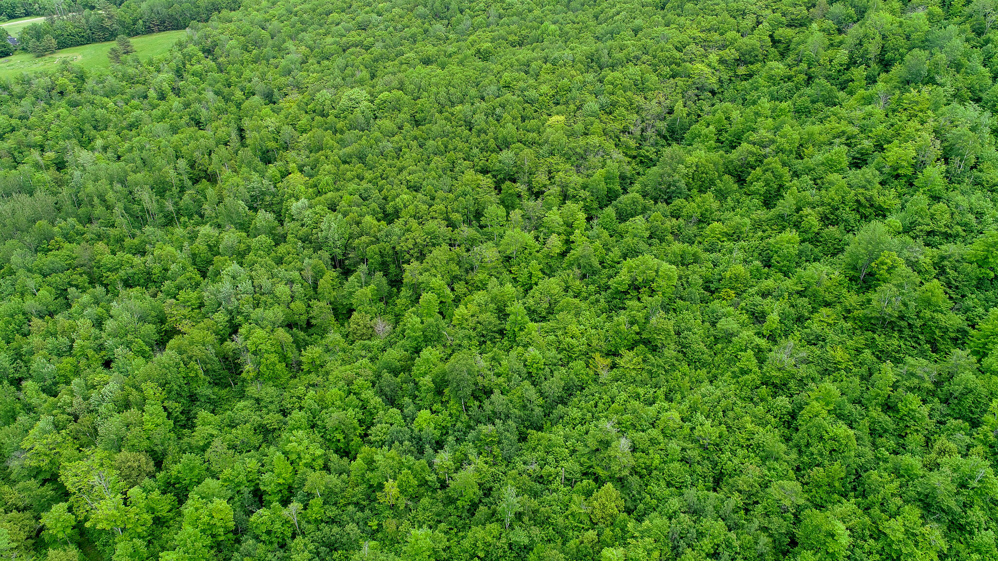 Map 402 Lot 10 Property Photo 5