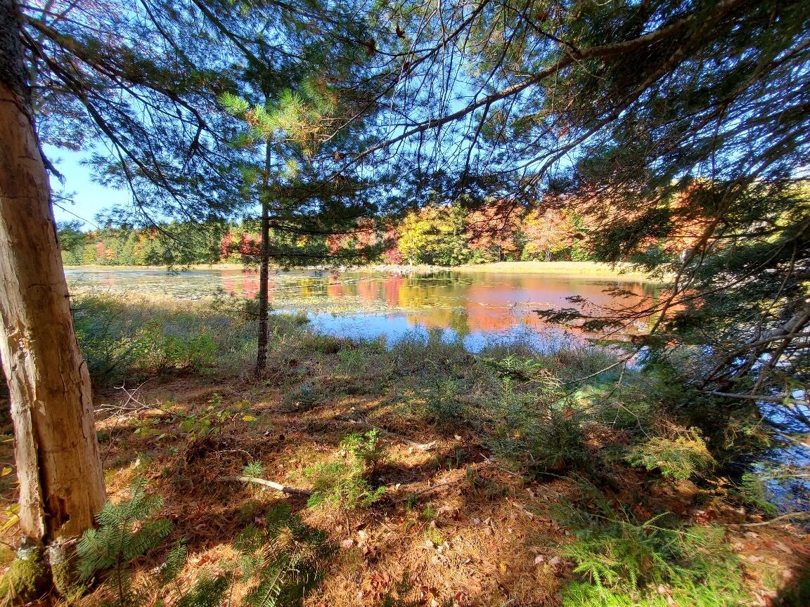 0 Clifford Lake Road Property Photo