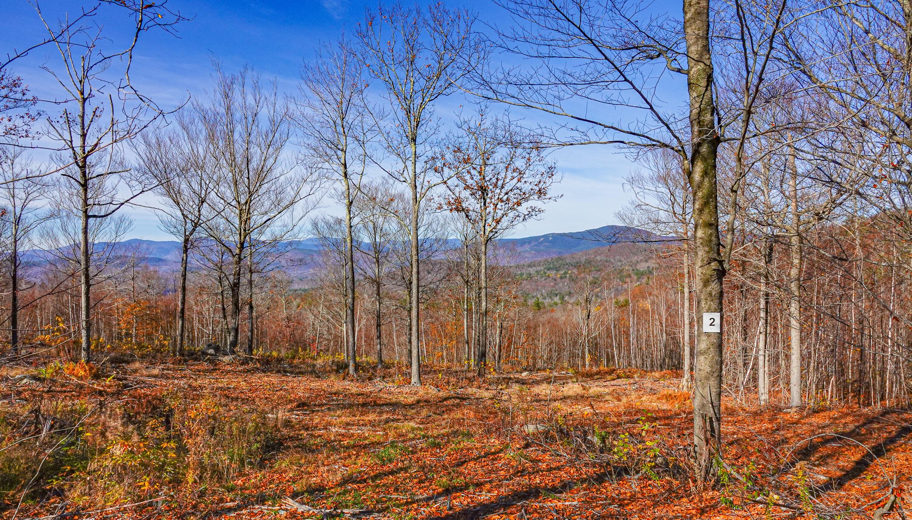 Lot 2 Mine Road Property Photo 1