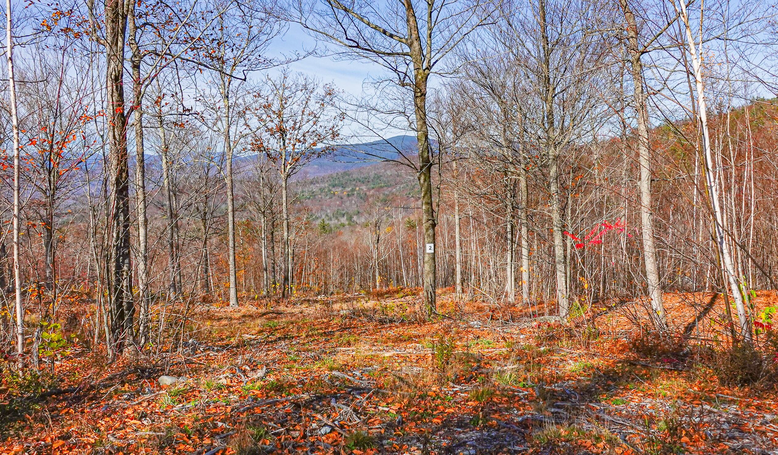 Lot 2 Mine Road Property Photo 2