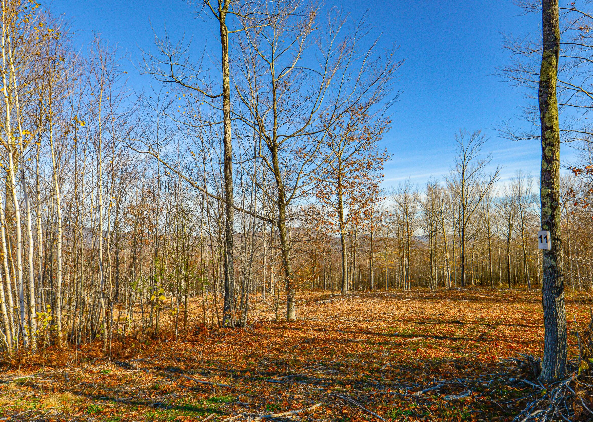 Lot 11 Mine Road Property Photo 1