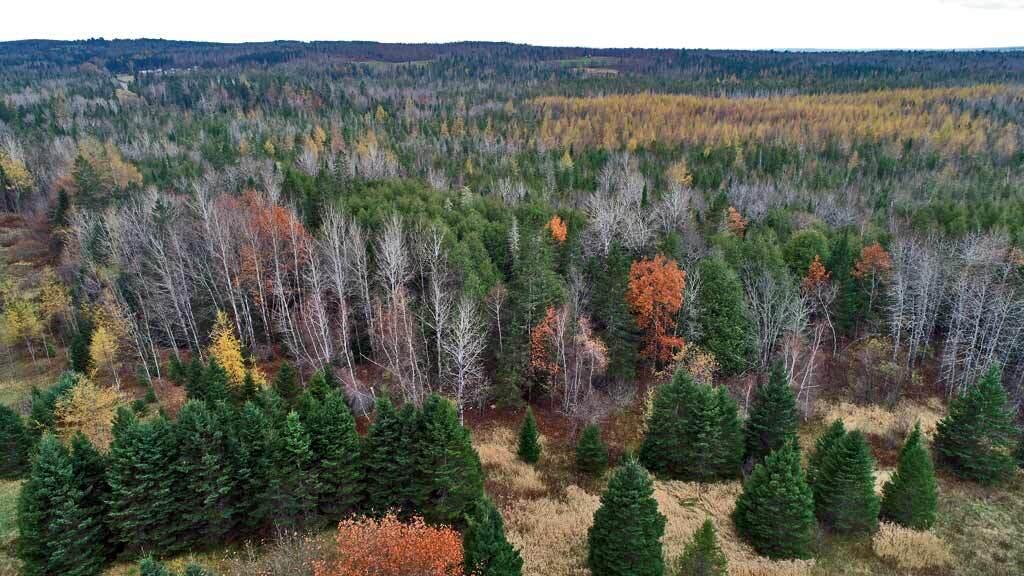 Lot 18 Us Rt 2 Highway Property Photo 4