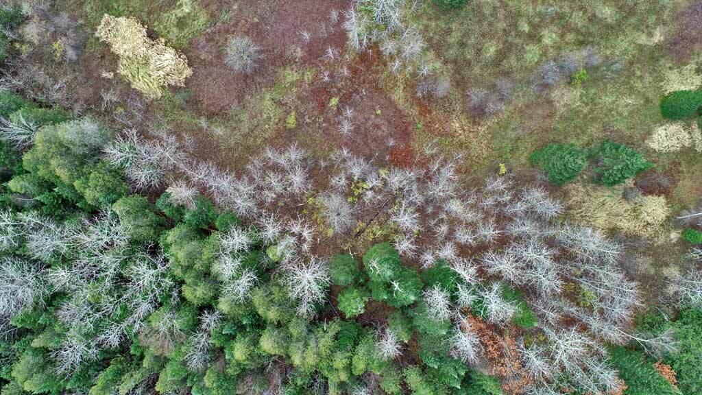 Lot 18 Us Rt 2 Highway Property Photo 5