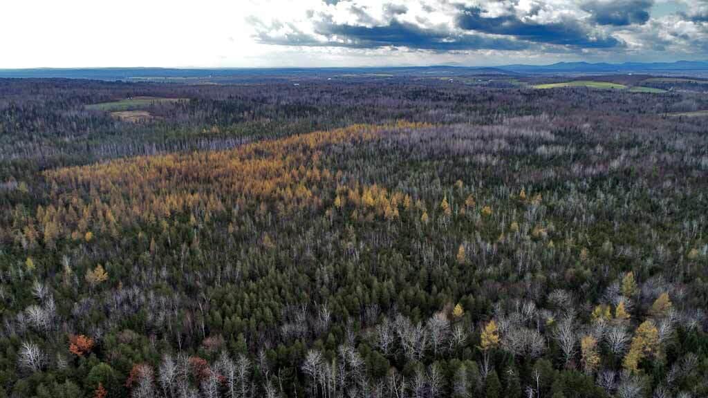Lot 18 Us Rt 2 Highway Property Photo 6