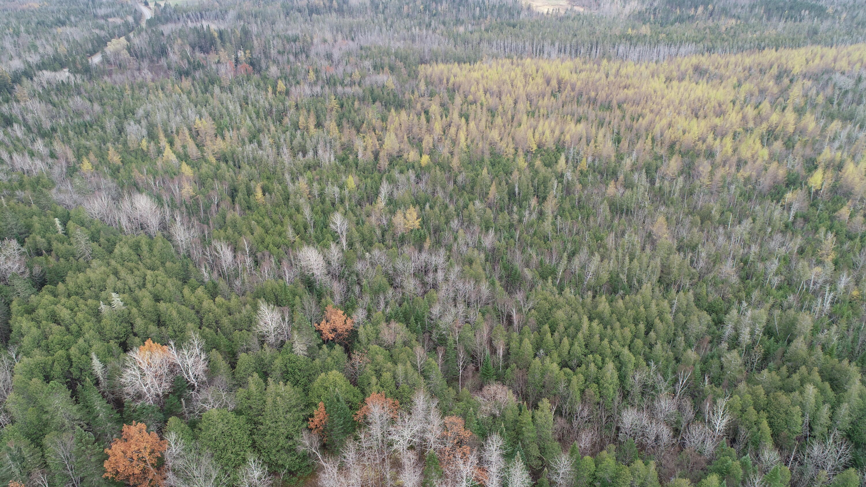 Lot 18 Us Rt 2 Highway Property Photo 11