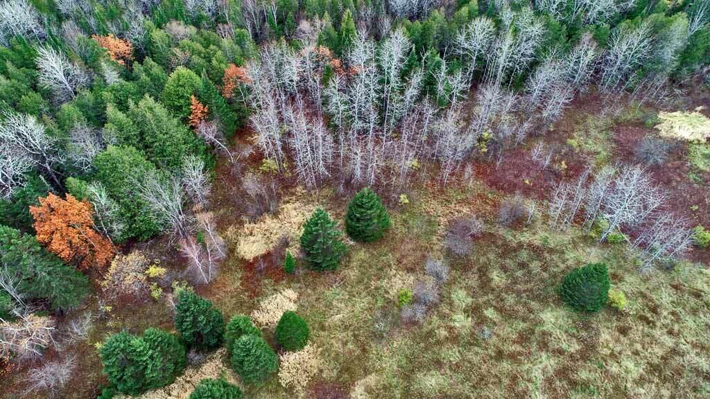 Lot 18 Us Rt 2 Highway Property Photo 12