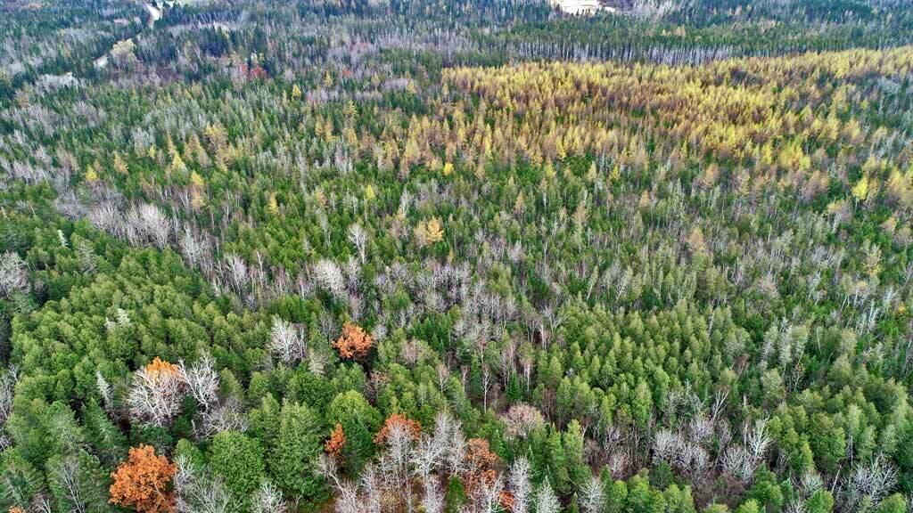 Lot 18 Us Rt 2 Highway Property Photo 13