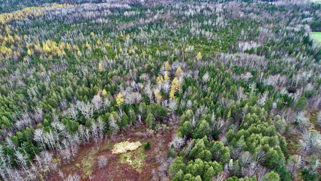 Lot 18 Us Rt 2 Highway Property Photo 14