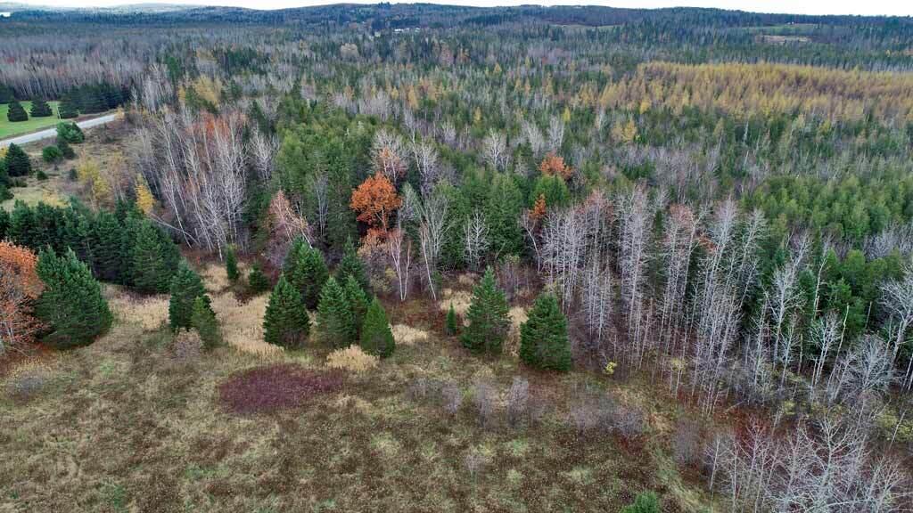 Lot 18 Us Rt 2 Highway Property Photo 15