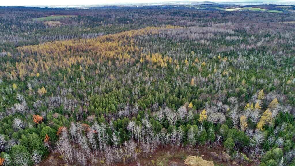 Lot 18 Us Rt 2 Highway Property Photo 16