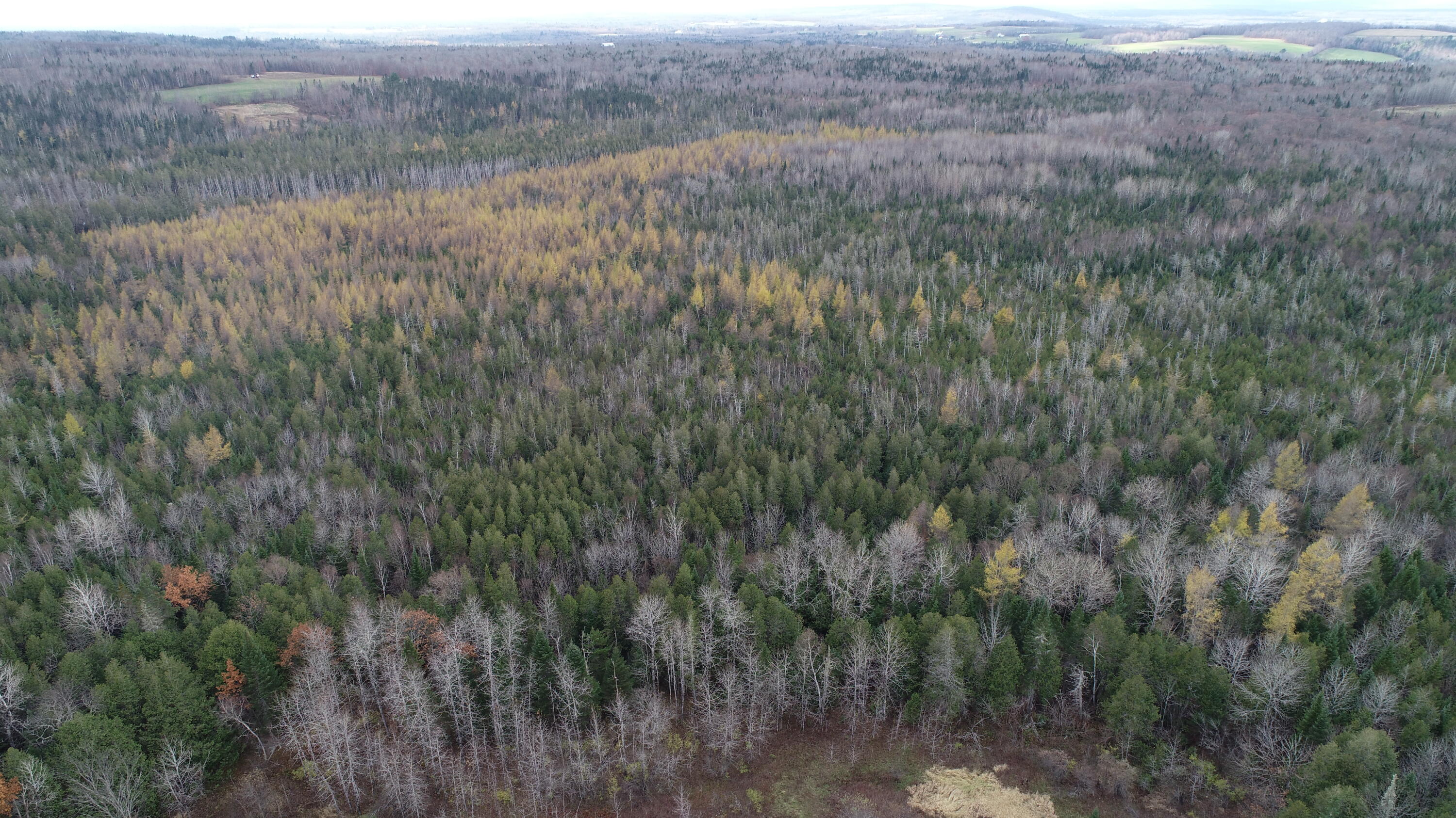 Lot 18 Us Rt 2 Highway Property Photo 17