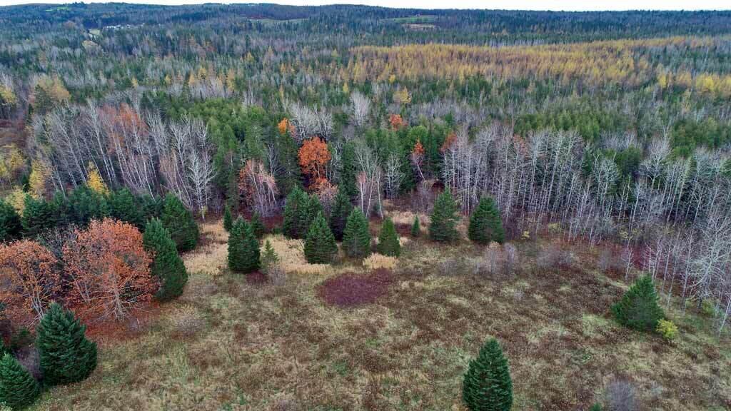 Lot 18 Us Rt 2 Highway Property Photo 19