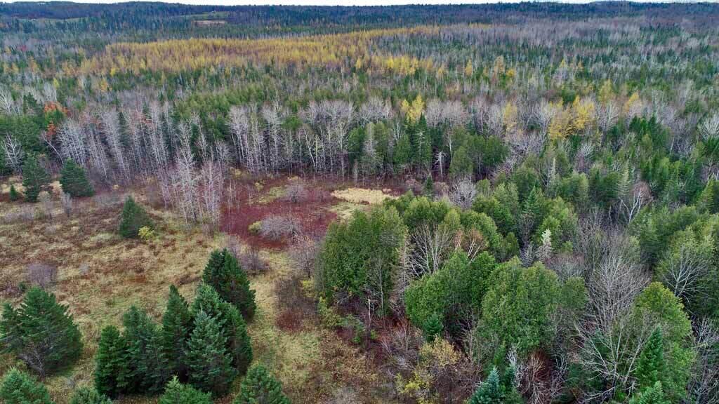 Lot 18 Us Rt 2 Highway Property Photo 27